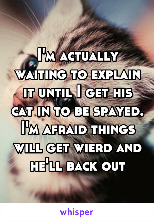 I'm actually waiting to explain it until I get his cat in to be spayed. I'm afraid things will get wierd and he'll back out