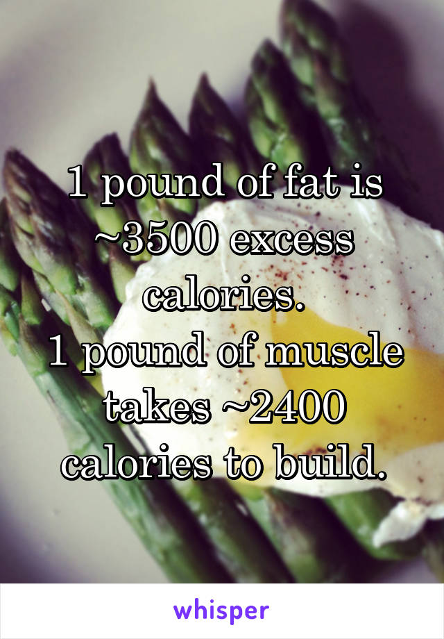 1 pound of fat is ~3500 excess calories.
1 pound of muscle takes ~2400 calories to build.