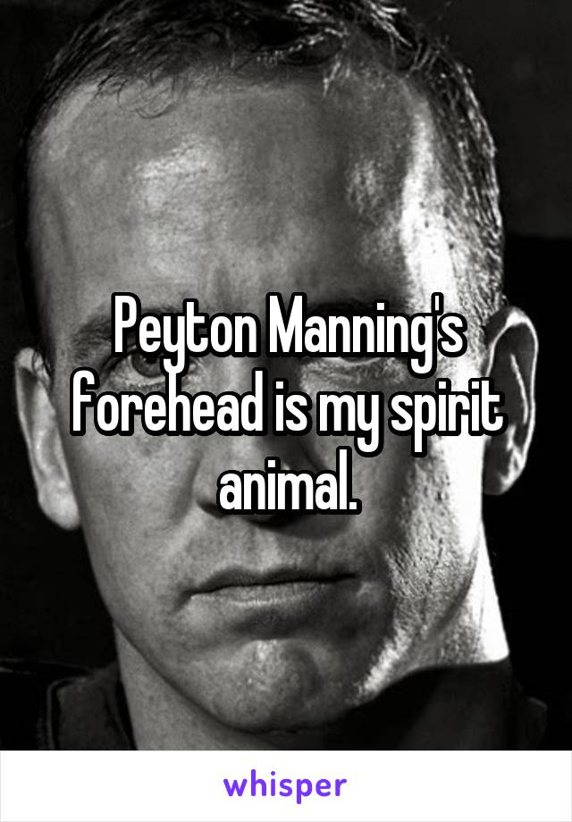 Peyton Manning's forehead is my spirit animal.
