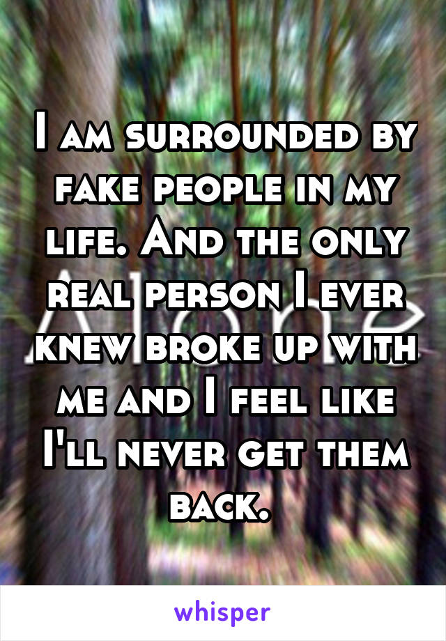 I am surrounded by fake people in my life. And the only real person I ever knew broke up with me and I feel like I'll never get them back. 