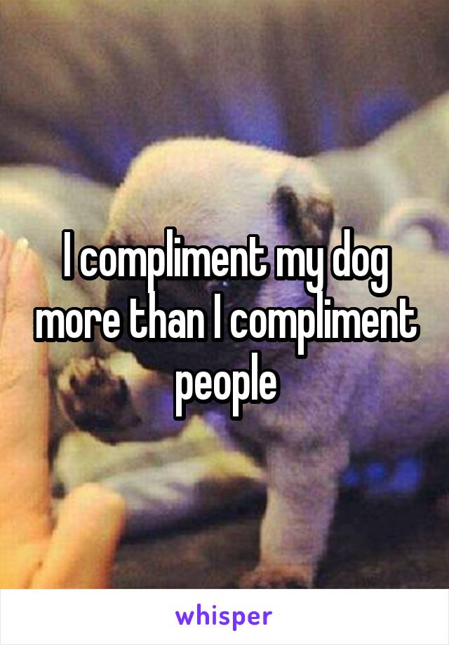I compliment my dog more than I compliment people