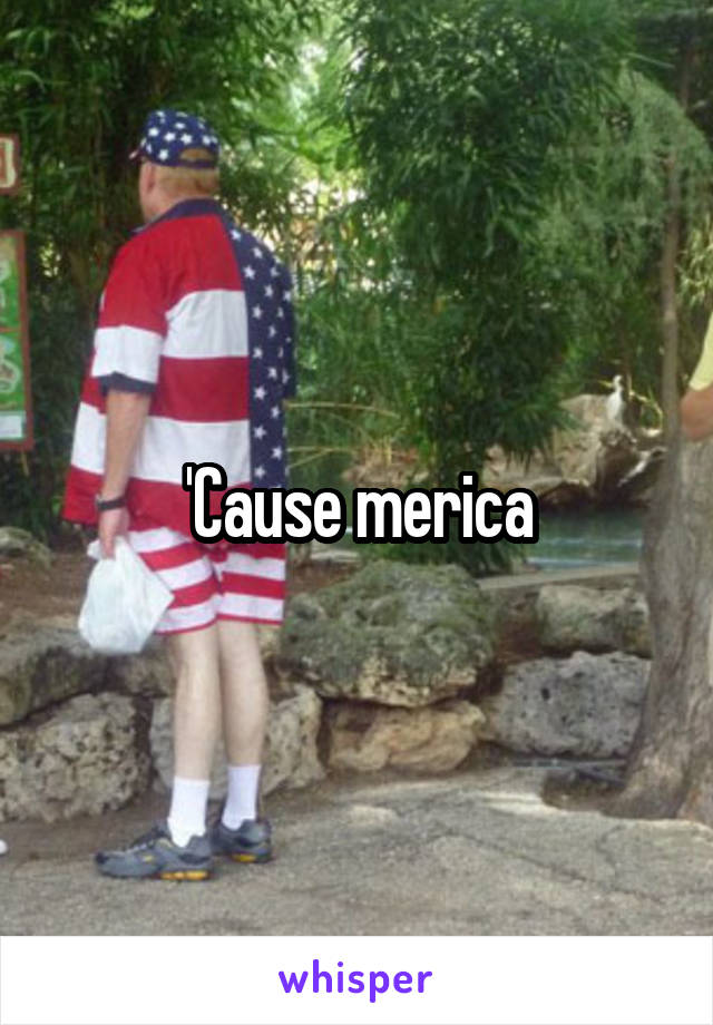 'Cause merica