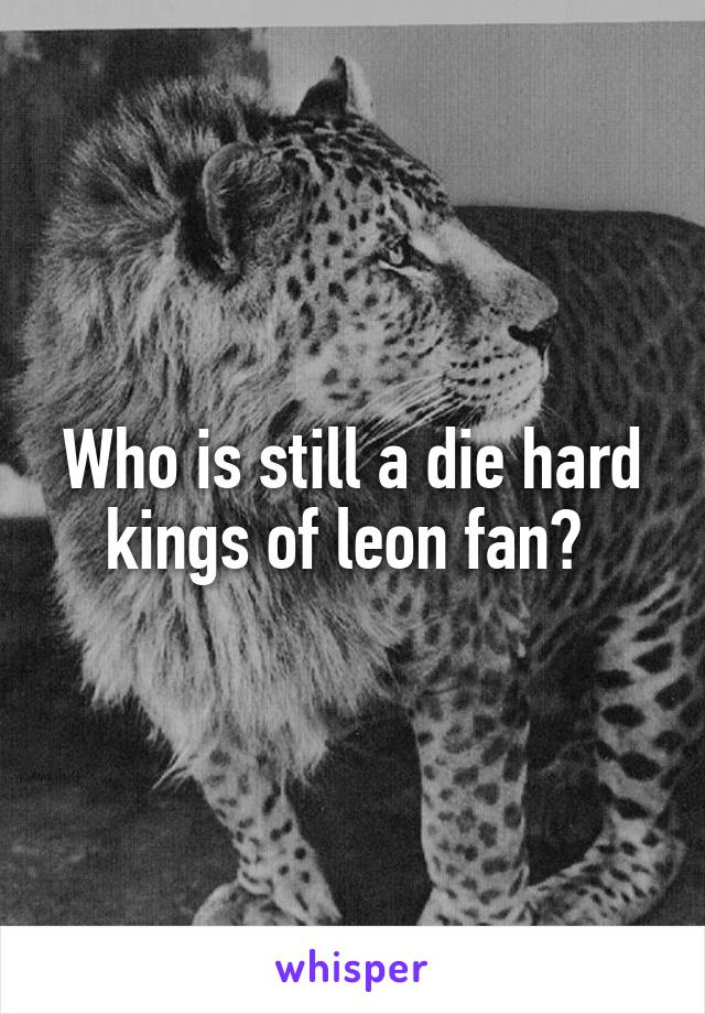 Who is still a die hard kings of leon fan? 