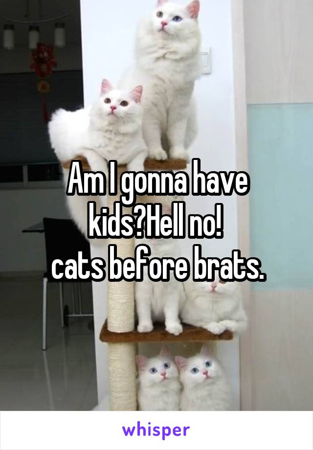 Am I gonna have kids?Hell no! 
cats before brats.