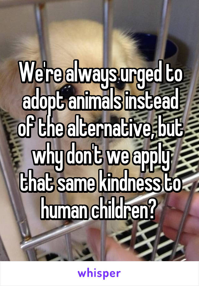 We're always urged to adopt animals instead of the alternative, but why don't we apply that same kindness to human children? 