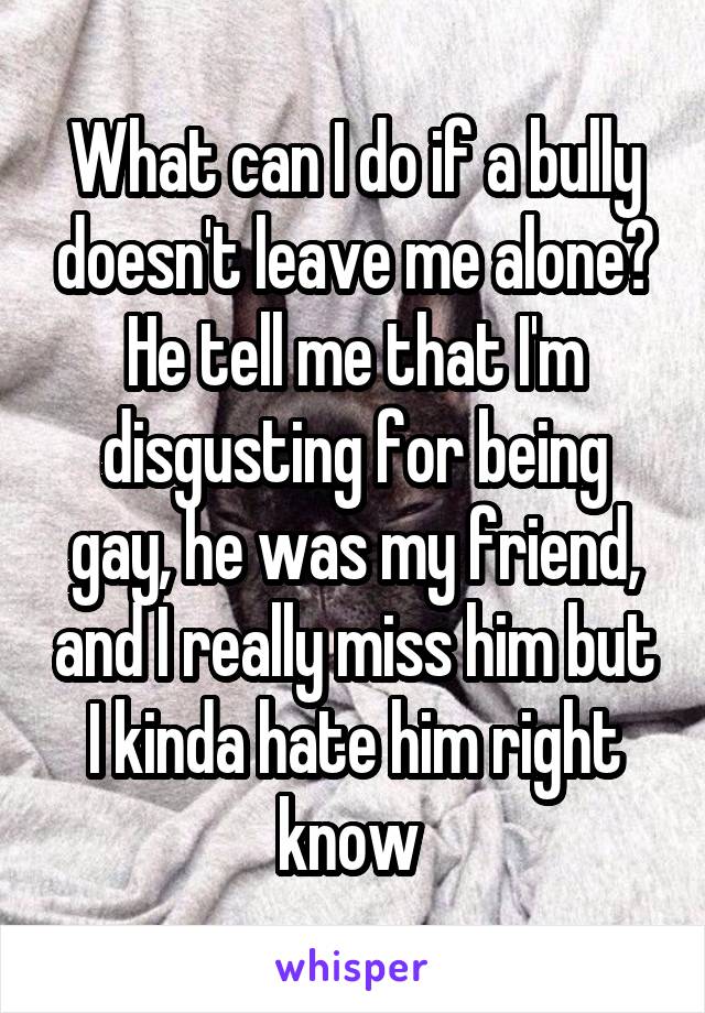 What can I do if a bully doesn't leave me alone? He tell me that I'm disgusting for being gay, he was my friend, and I really miss him but I kinda hate him right know 