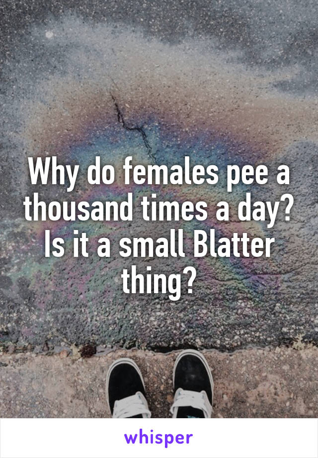 Why do females pee a thousand times a day? Is it a small Blatter thing?