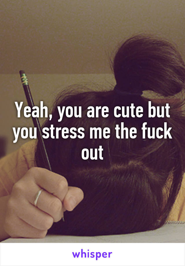 Yeah, you are cute but you stress me the fuck out