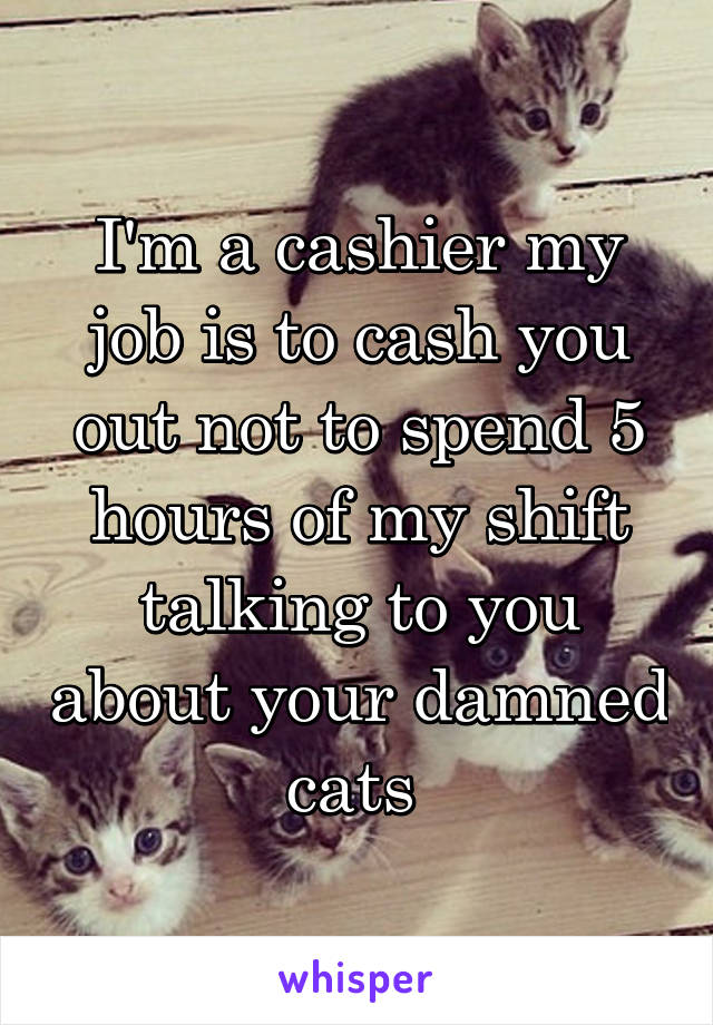 I'm a cashier my job is to cash you out not to spend 5 hours of my shift talking to you about your damned cats 