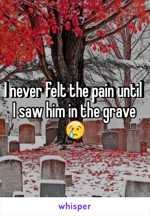 I never felt the pain until I saw him in the grave 😢