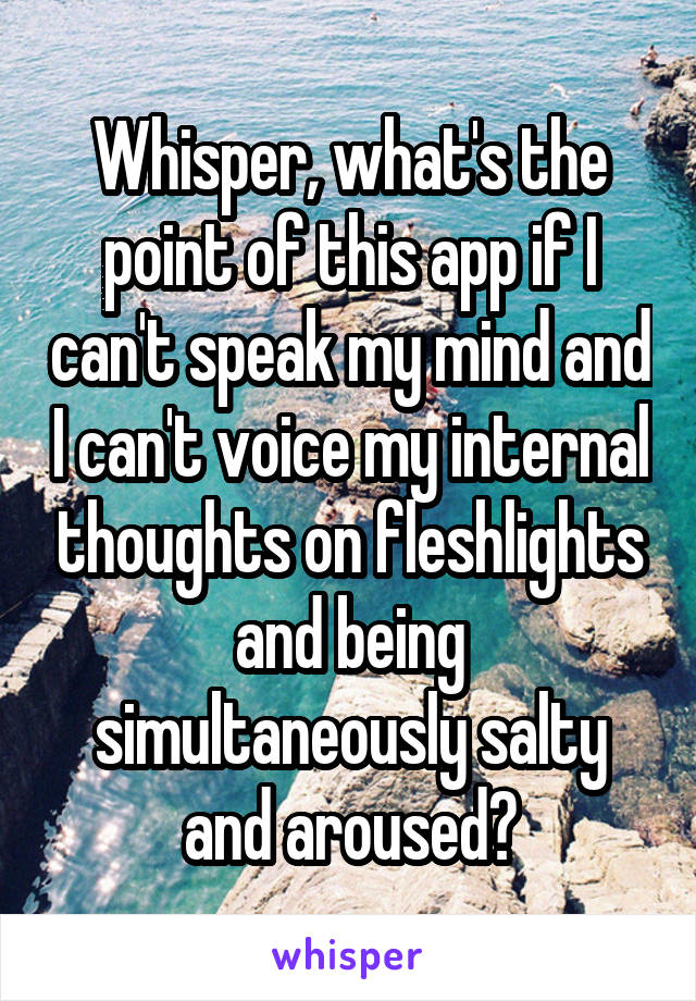 Whisper, what's the point of this app if I can't speak my mind and I can't voice my internal thoughts on fleshlights and being simultaneously salty and aroused?