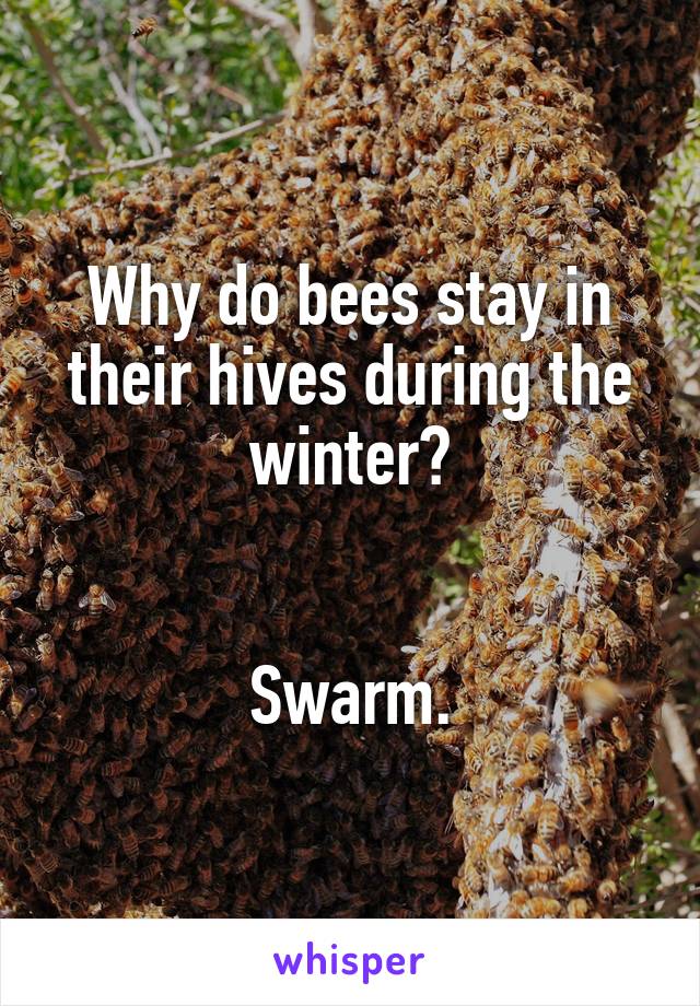 Why do bees stay in their hives during the winter?


Swarm.