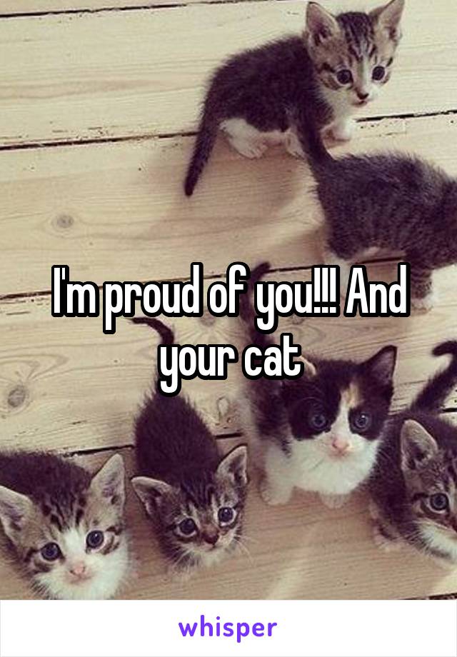 I'm proud of you!!! And your cat