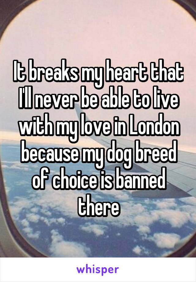 It breaks my heart that I'll never be able to live with my love in London because my dog breed of choice is banned there