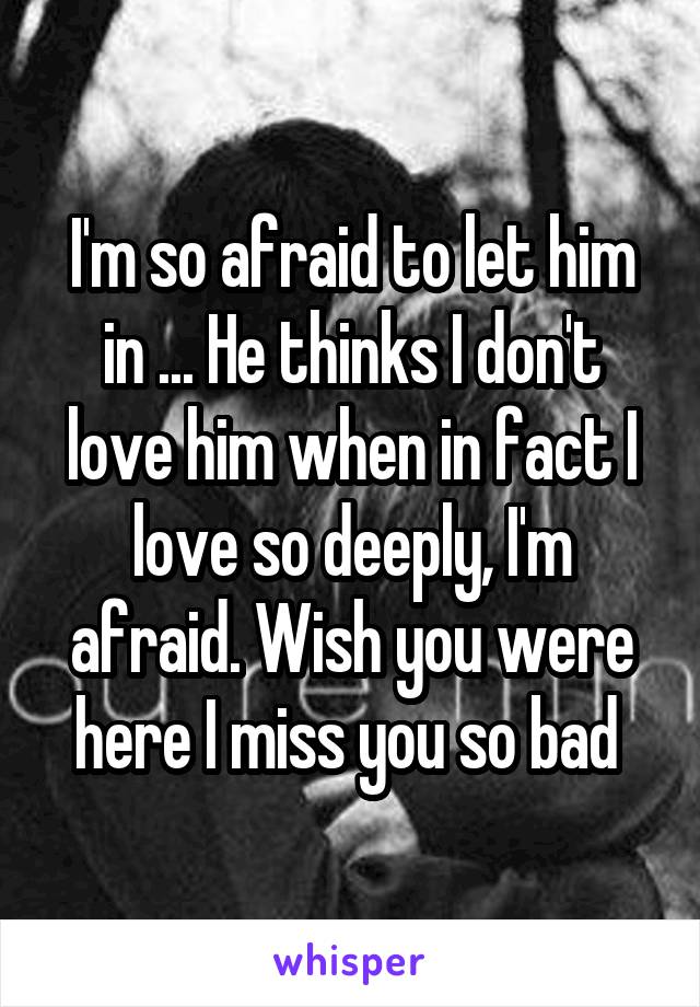 I'm so afraid to let him in ... He thinks I don't love him when in fact I love so deeply, I'm afraid. Wish you were here I miss you so bad 