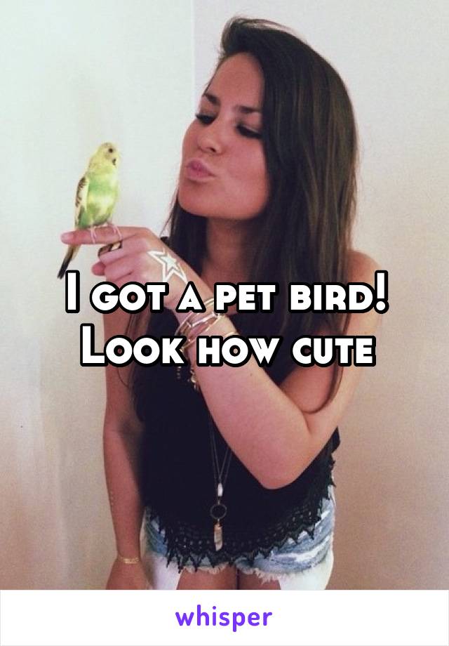 I got a pet bird! Look how cute