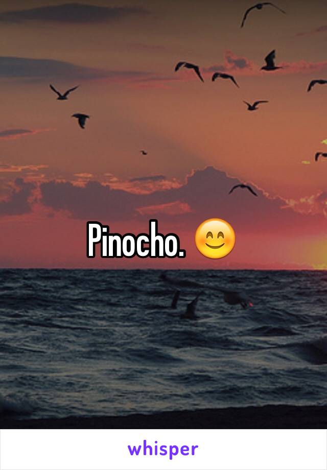 Pinocho. 😊