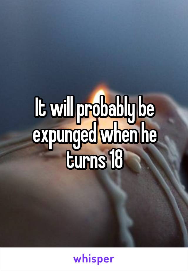 It will probably be expunged when he turns 18