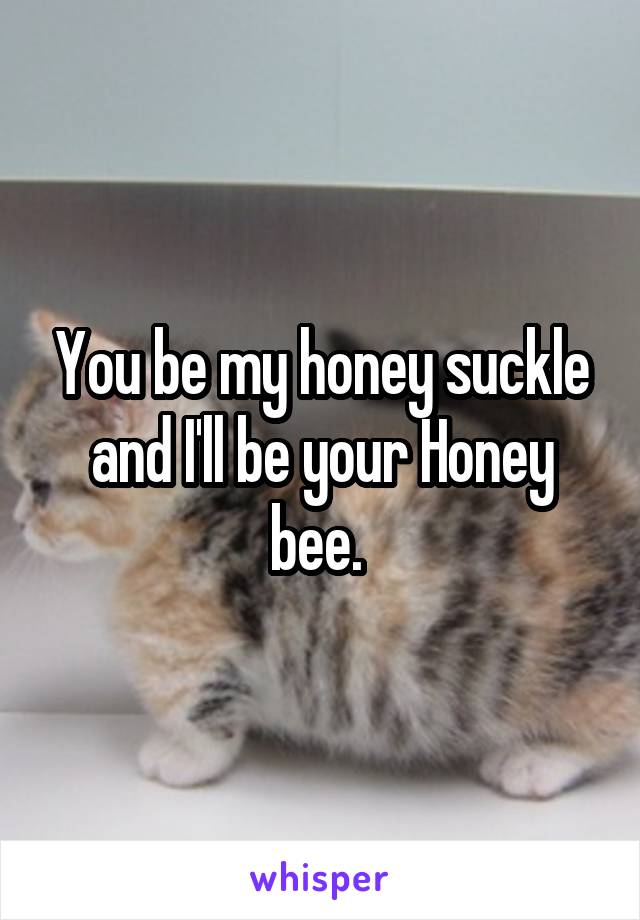 You be my honey suckle and I'll be your Honey bee. 