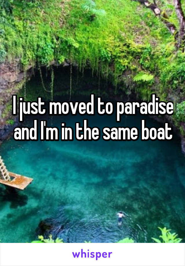 I just moved to paradise and I'm in the same boat 