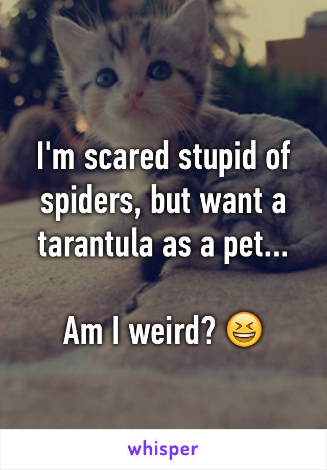 I'm scared stupid of spiders, but want a tarantula as a pet...

Am I weird? 😆