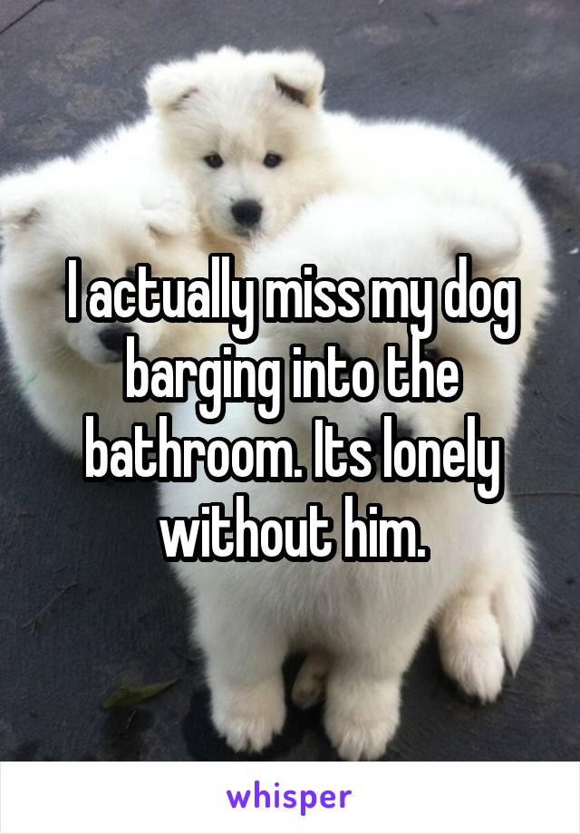 I actually miss my dog barging into the bathroom. Its lonely without him.