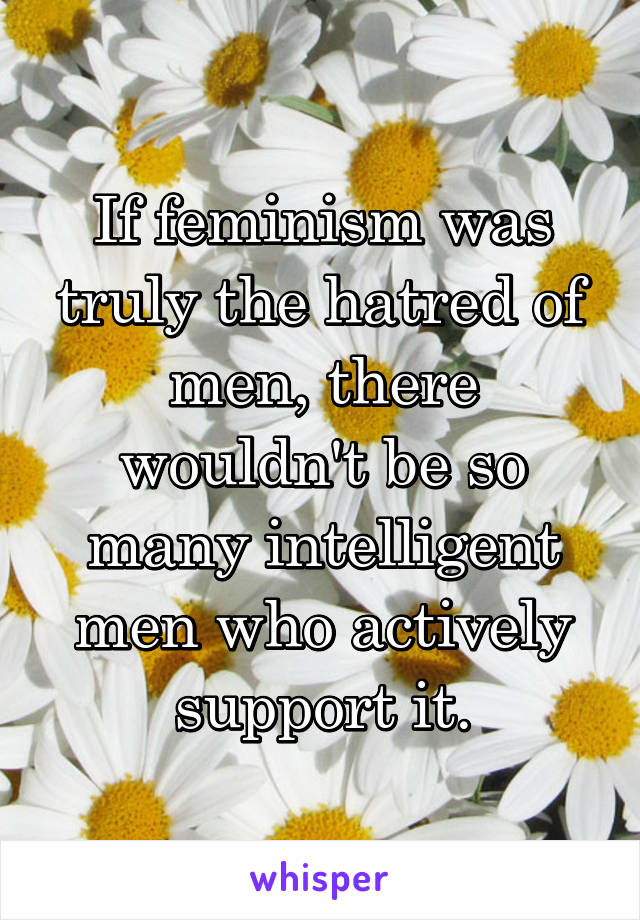 If feminism was truly the hatred of men, there wouldn't be so many intelligent men who actively support it.