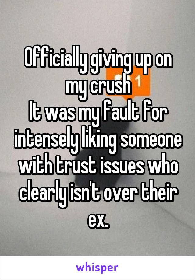 Officially giving up on my crush
It was my fault for intensely liking someone with trust issues who clearly isn't over their ex.