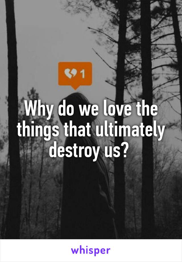 Why do we love the things that ultimately destroy us? 