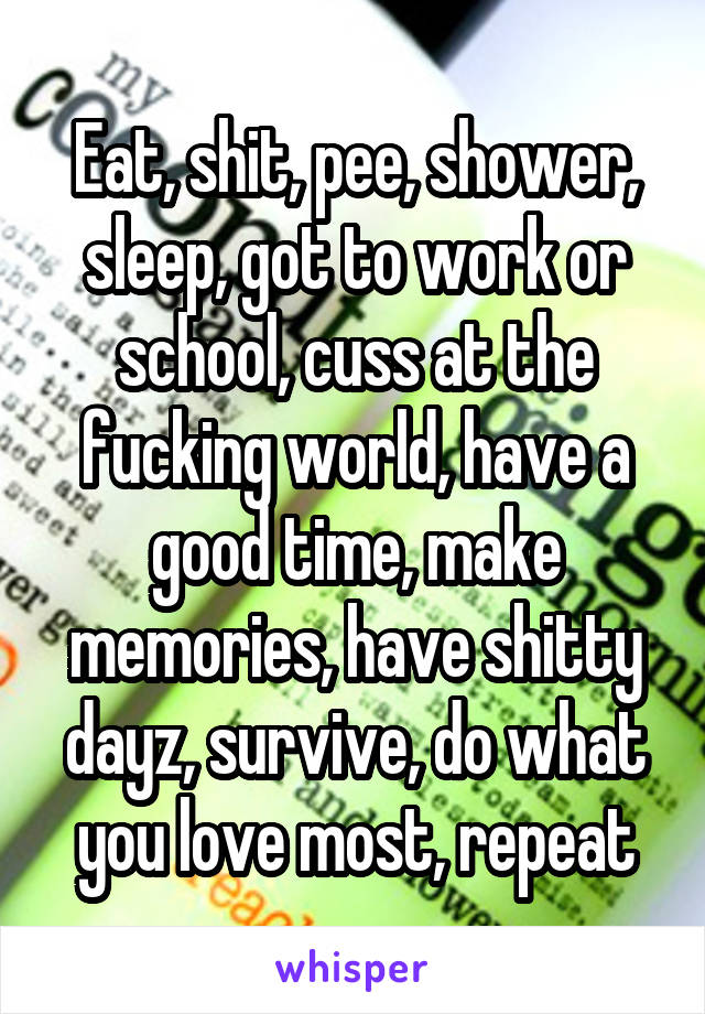 Eat, shit, pee, shower, sleep, got to work or school, cuss at the fucking world, have a good time, make memories, have shitty dayz, survive, do what you love most, repeat