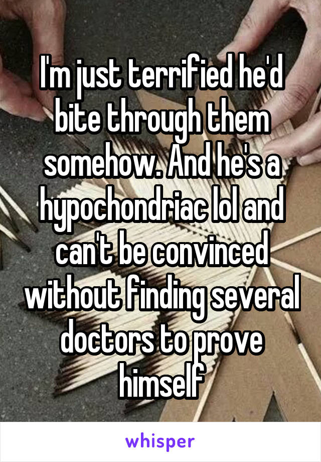 I'm just terrified he'd bite through them somehow. And he's a hypochondriac lol and can't be convinced without finding several doctors to prove himself