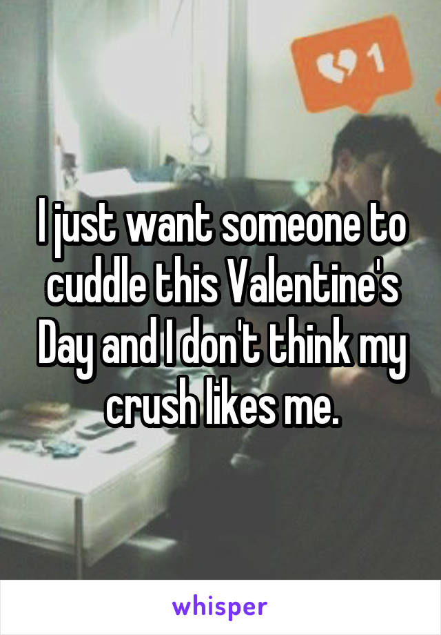 I just want someone to cuddle this Valentine's Day and I don't think my crush likes me.