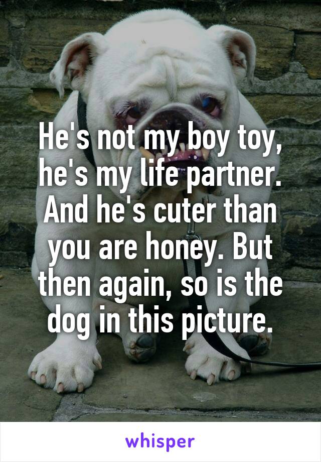 He's not my boy toy, he's my life partner. And he's cuter than you are honey. But then again, so is the dog in this picture.