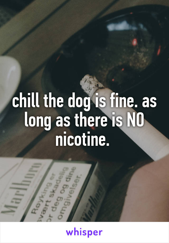 chill the dog is fine. as long as there is NO nicotine. 