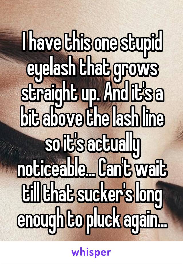 I have this one stupid eyelash that grows straight up. And it's a bit above the lash line so it's actually noticeable... Can't wait till that sucker's long enough to pluck again...