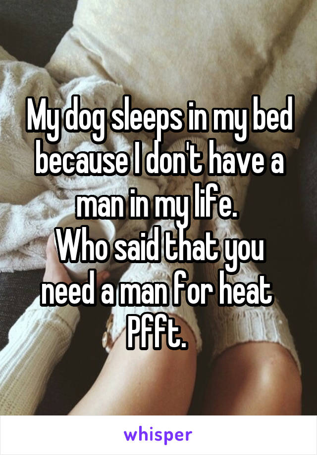 My dog sleeps in my bed because I don't have a man in my life. 
Who said that you need a man for heat 
Pfft. 