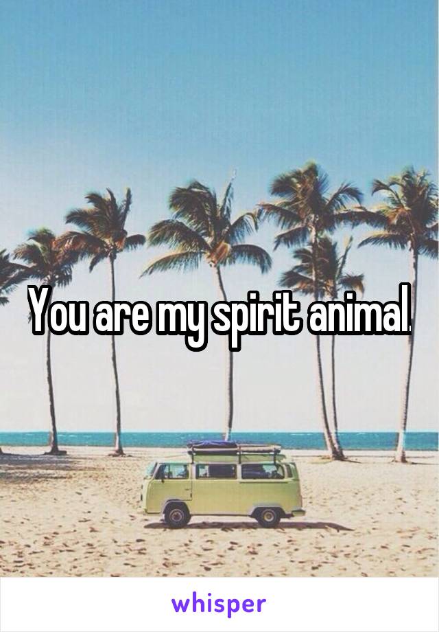 You are my spirit animal.