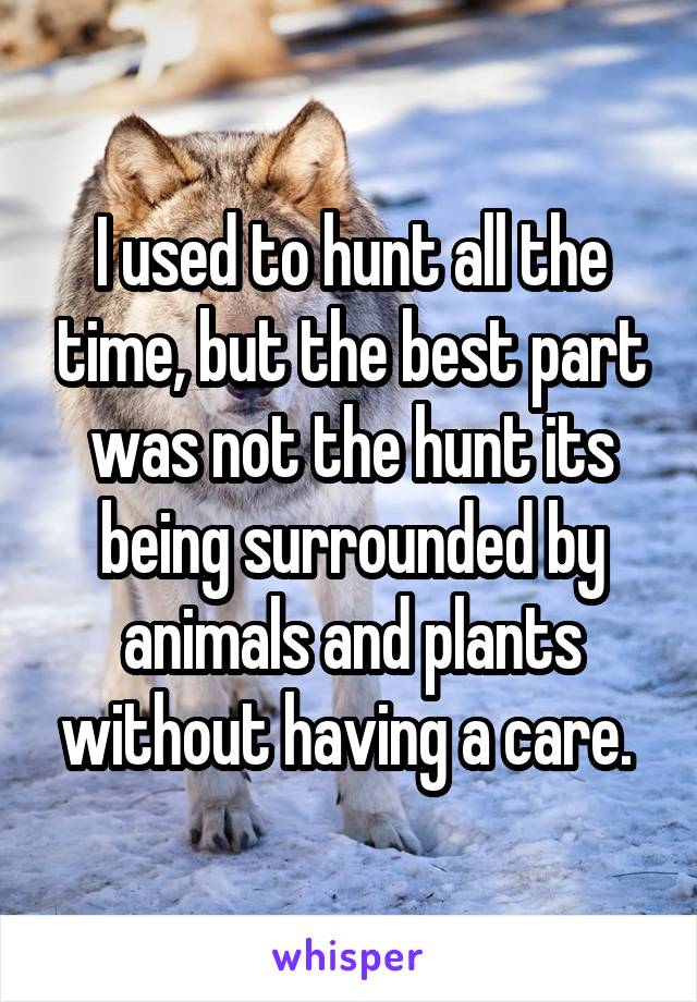 I used to hunt all the time, but the best part was not the hunt its being surrounded by animals and plants without having a care. 