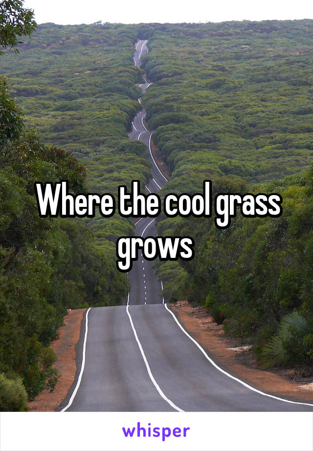 Where the cool grass grows 