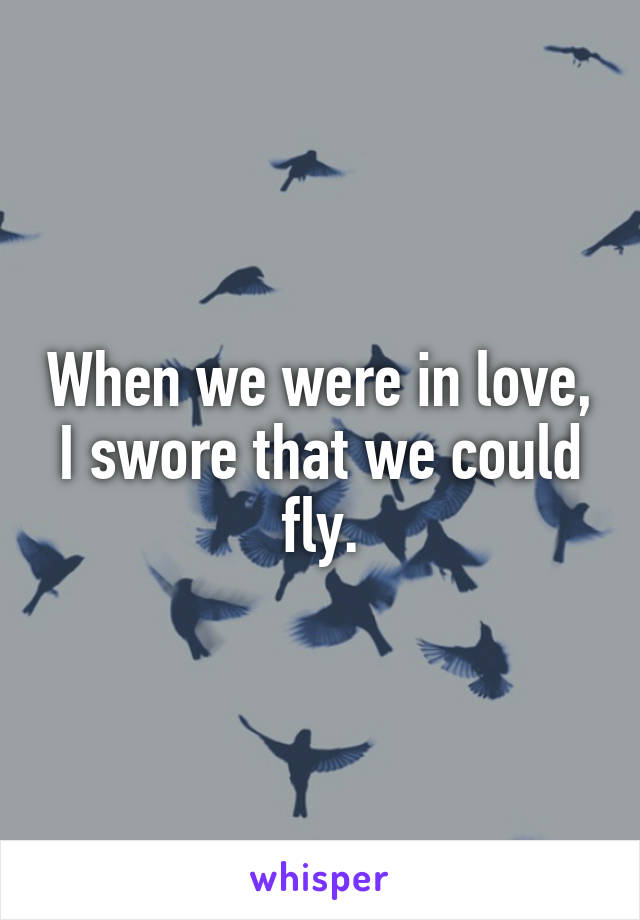 When we were in love, I swore that we could fly.