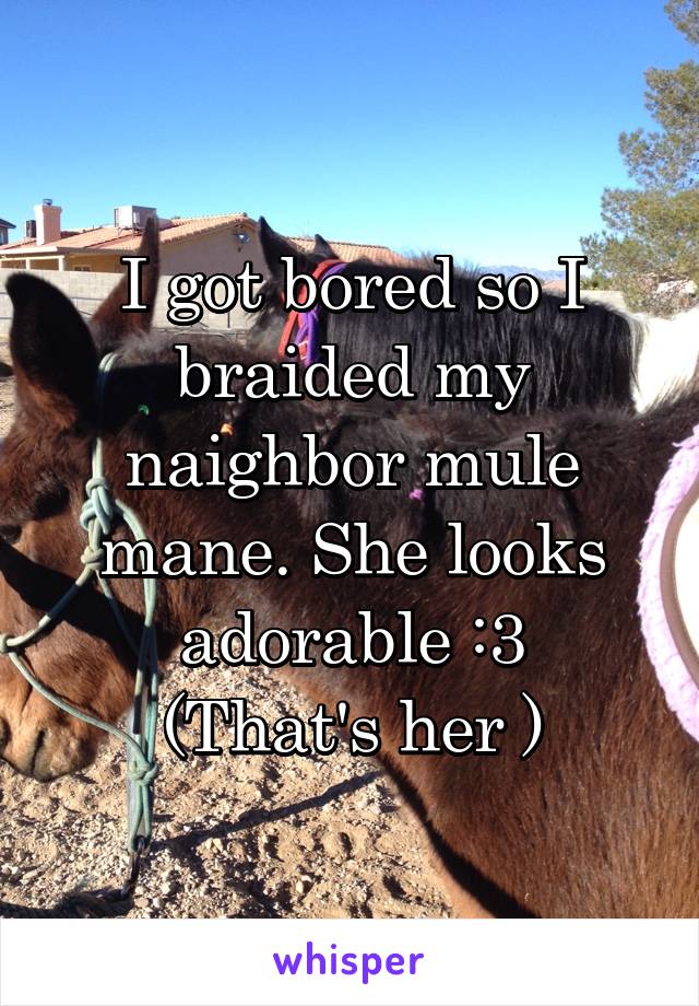 I got bored so I braided my naighbor mule mane. She looks adorable :3
(That's her )