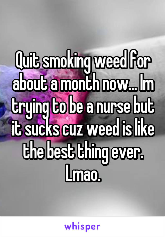 Quit smoking weed for about a month now... Im trying to be a nurse but it sucks cuz weed is like the best thing ever. Lmao.