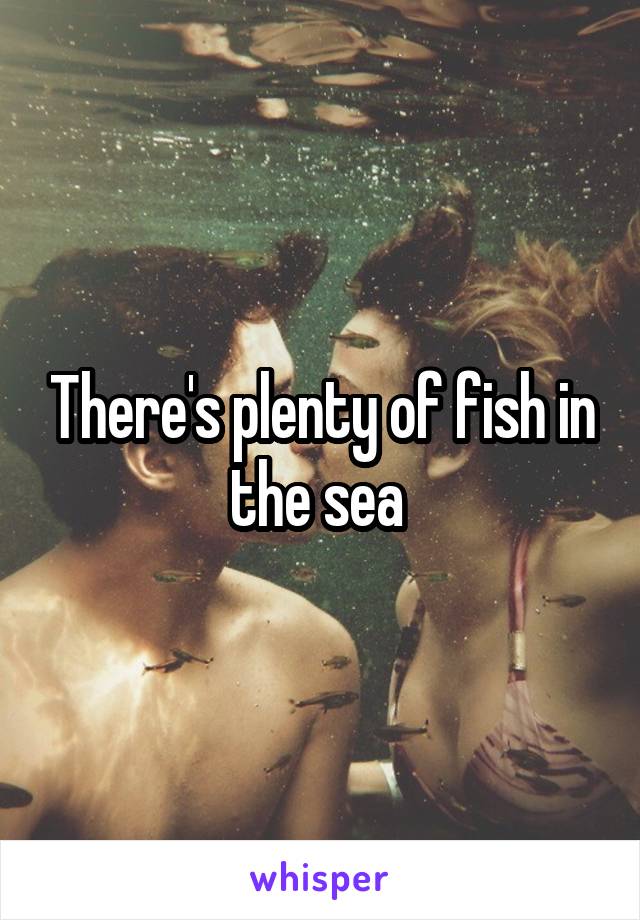 There's plenty of fish in the sea 