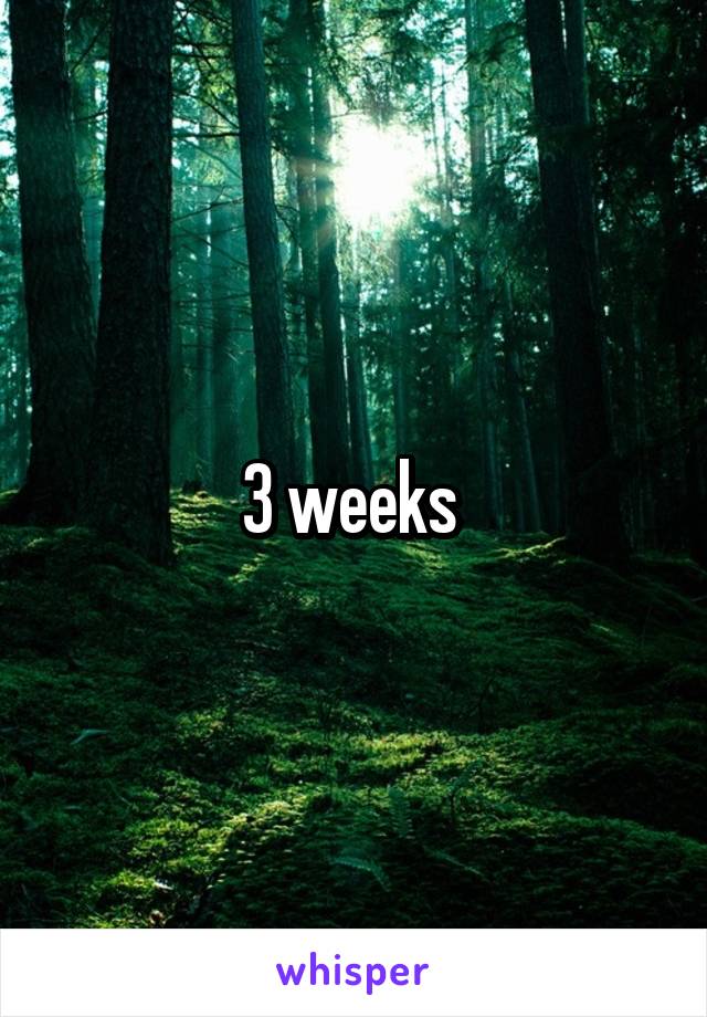 3 weeks 