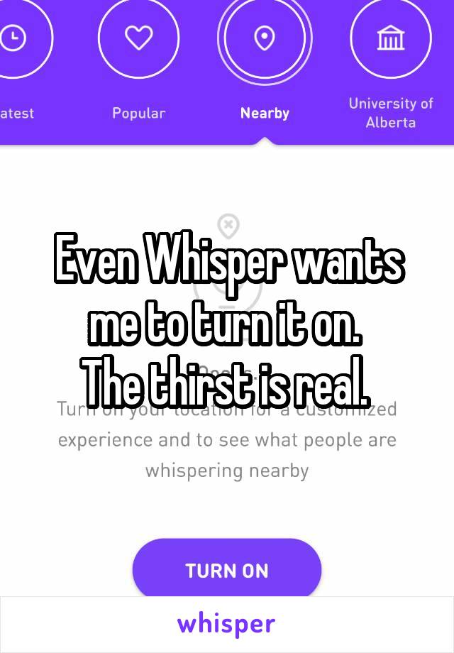 Even Whisper wants me to turn it on. 
The thirst is real. 