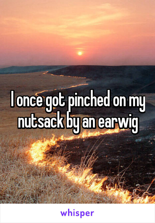 I once got pinched on my nutsack by an earwig