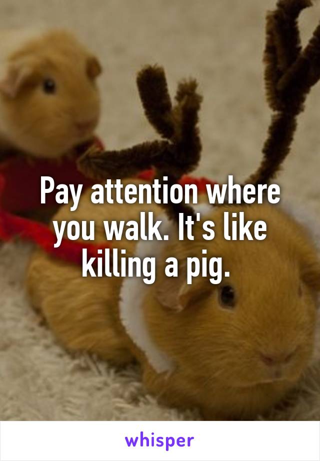 Pay attention where you walk. It's like killing a pig. 