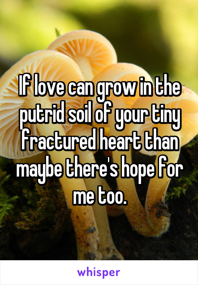 If love can grow in the putrid soil of your tiny fractured heart than maybe there's hope for me too.