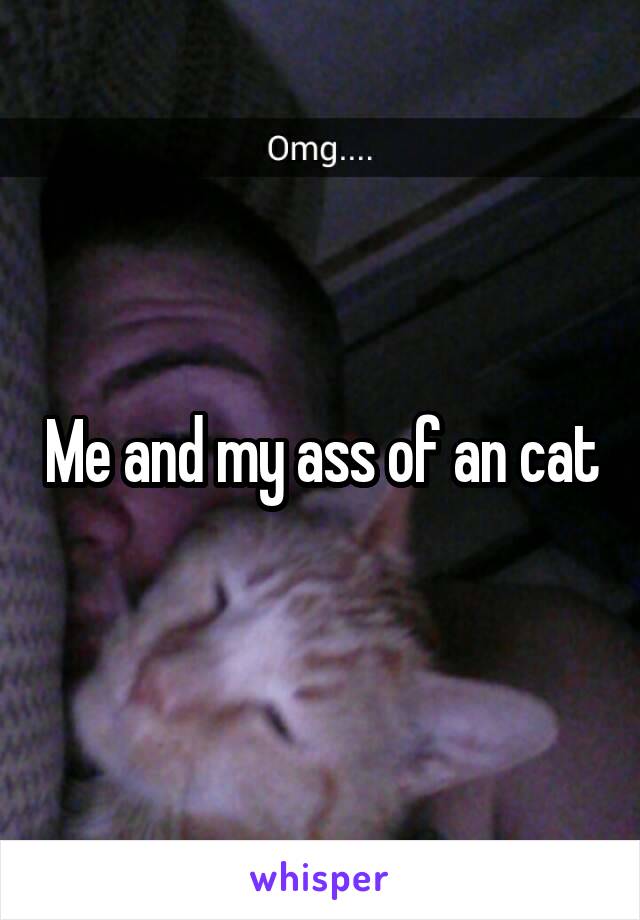 Me and my ass of an cat