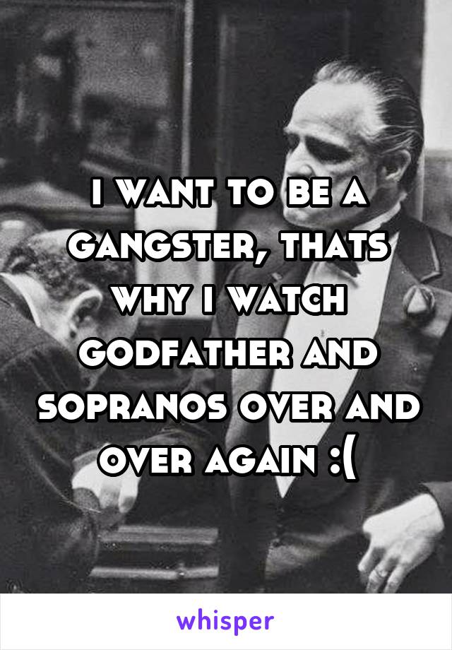 i want to be a gangster, thats why i watch godfather and sopranos over and over again :(